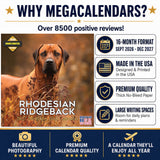 Rhodesian Ridgeback Wall Calendar 2027 - 12" x 12" Monthly Powerful & Dignified Ridgeback Dog Breed Calendar