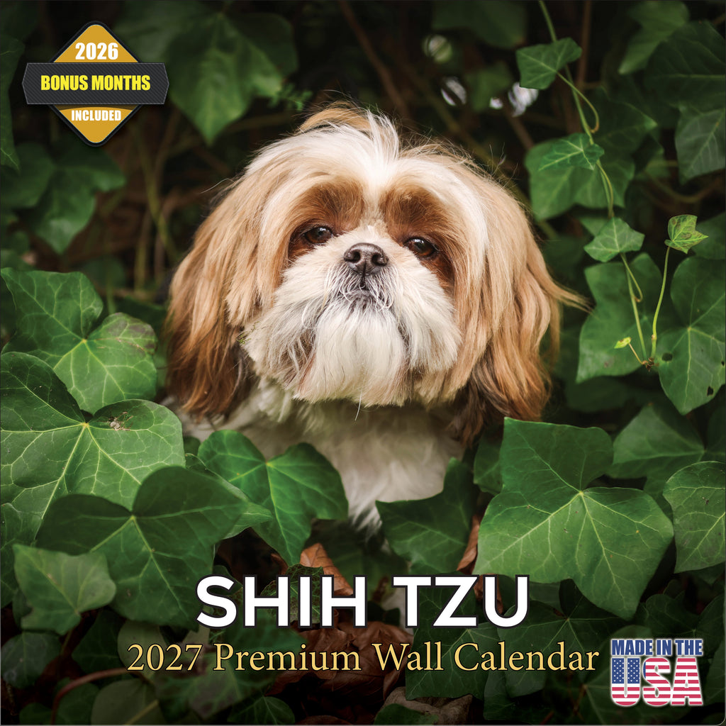 Shih Tzu Wall Calendar 2027 - 12" x 12" Monthly Affectionate & Playful Companion Dog Breed Calendar