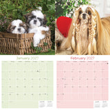 Shih Tzu Wall Calendar 2027 - 12" x 12" Monthly Affectionate & Playful Companion Dog Breed Calendar