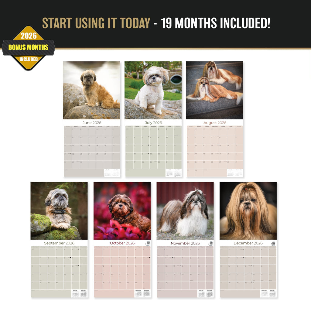 Shih Tzu Wall Calendar 2027 - 12" x 12" Monthly Affectionate & Playful Companion Dog Breed Calendar