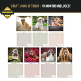 Shih Tzu Wall Calendar 2027 - 12" x 12" Monthly Affectionate & Playful Companion Dog Breed Calendar