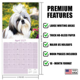Shih Tzu Wall Calendar 2027 - 12" x 12" Monthly Affectionate & Playful Companion Dog Breed Calendar