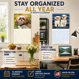 Shih Tzu Wall Calendar 2027 - 12" x 12" Monthly Affectionate & Playful Companion Dog Breed Calendar