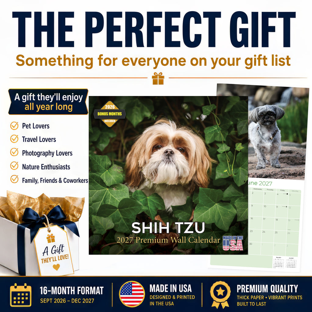 Shih Tzu Wall Calendar 2027 - 12" x 12" Monthly Affectionate & Playful Companion Dog Breed Calendar