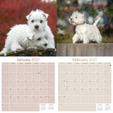 West Highland Terrier Wall Calendar 2027 - 12" x 12" Monthly Loyal & Spirited Westie Dog Breed Calendar