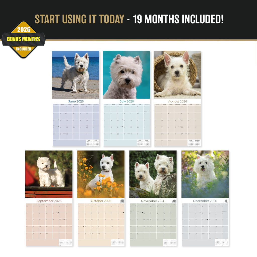 West Highland Terrier Wall Calendar 2027 - 12" x 12" Monthly Loyal & Spirited Westie Dog Breed Calendar