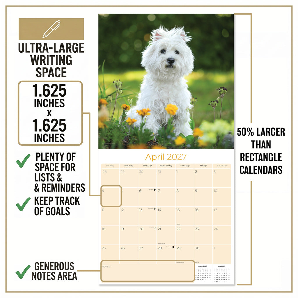 West Highland Terrier Wall Calendar 2027 - 12" x 12" Monthly Loyal & Spirited Westie Dog Breed Calendar