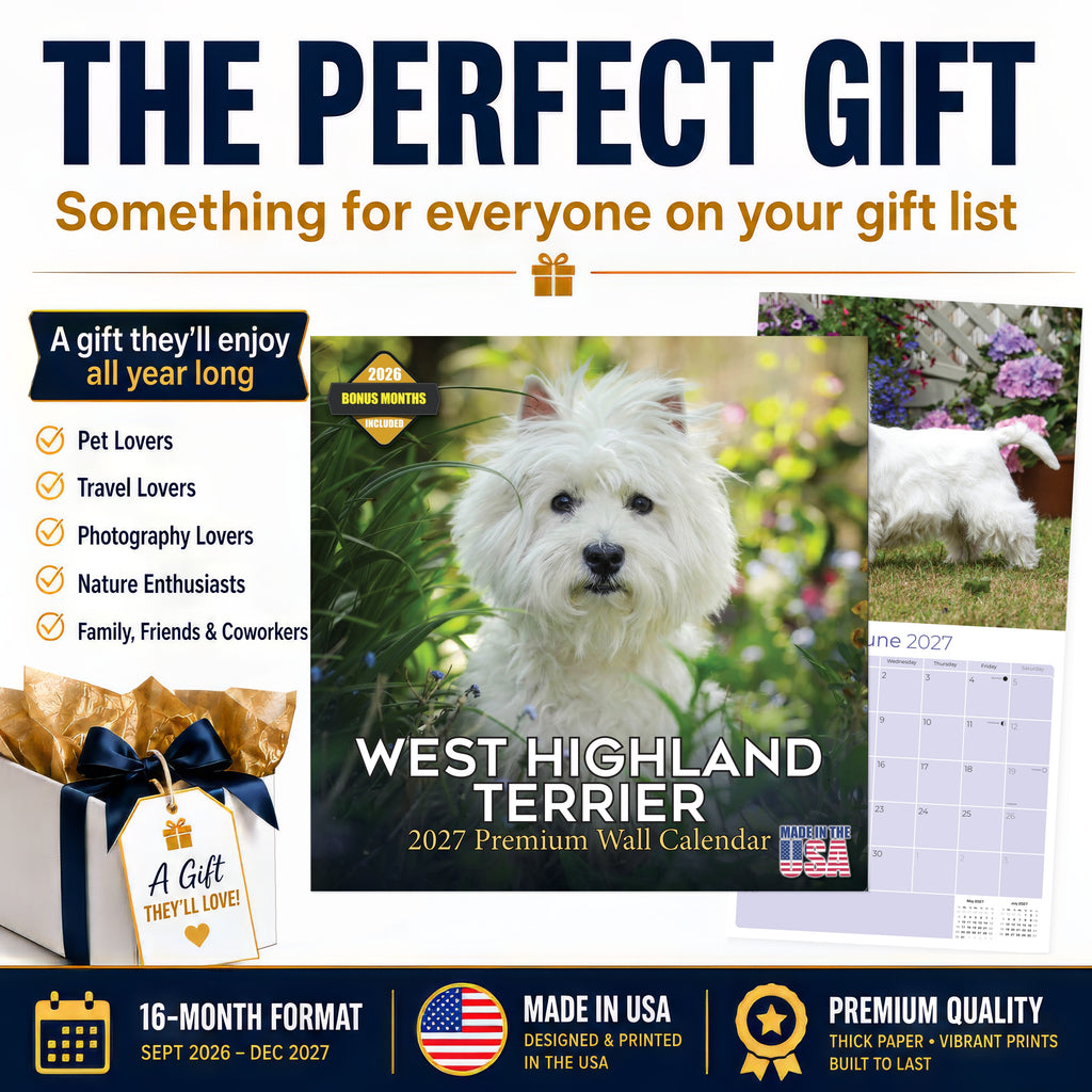 West Highland Terrier Wall Calendar 2027 - 12" x 12" Monthly Loyal & Spirited Westie Dog Breed Calendar