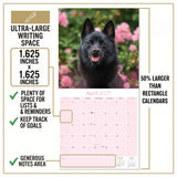 Schipperke Wall Calendar 2027 - 12" x 12" Monthly Curious & Energetic Schipperke Dog Breed Calendar