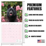 Schipperke Wall Calendar 2027 - 12" x 12" Monthly Curious & Energetic Schipperke Dog Breed Calendar