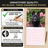 Schipperke Wall Calendar 2027 - 12" x 12" Monthly Curious & Energetic Schipperke Dog Breed Calendar