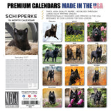 Schipperke Wall Calendar 2027 - 12" x 12" Monthly Curious & Energetic Schipperke Dog Breed Calendar