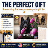 Schipperke Wall Calendar 2027 - 12" x 12" Monthly Curious & Energetic Schipperke Dog Breed Calendar