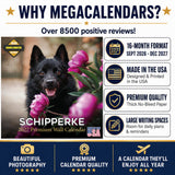 Schipperke Wall Calendar 2027 - 12" x 12" Monthly Curious & Energetic Schipperke Dog Breed Calendar