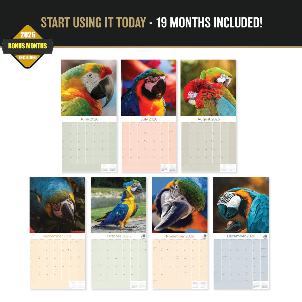 Macaws Wall Calendar 2027 - 12" x 12" Monthly Bird Breed Calendar