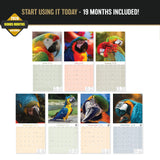 Macaws Wall Calendar 2027 - 12" x 12" Monthly Bird Breed Calendar