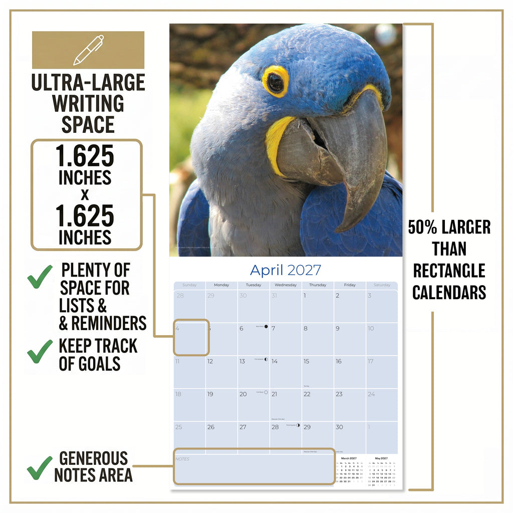 Macaws Wall Calendar 2027 - 12" x 12" Monthly Bird Breed Calendar