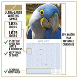 Macaws Wall Calendar 2027 - 12" x 12" Monthly Bird Breed Calendar