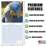 Macaws Wall Calendar 2027 - 12" x 12" Monthly Bird Breed Calendar