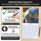 Macaws Wall Calendar 2027 - 12" x 12" Monthly Bird Breed Calendar