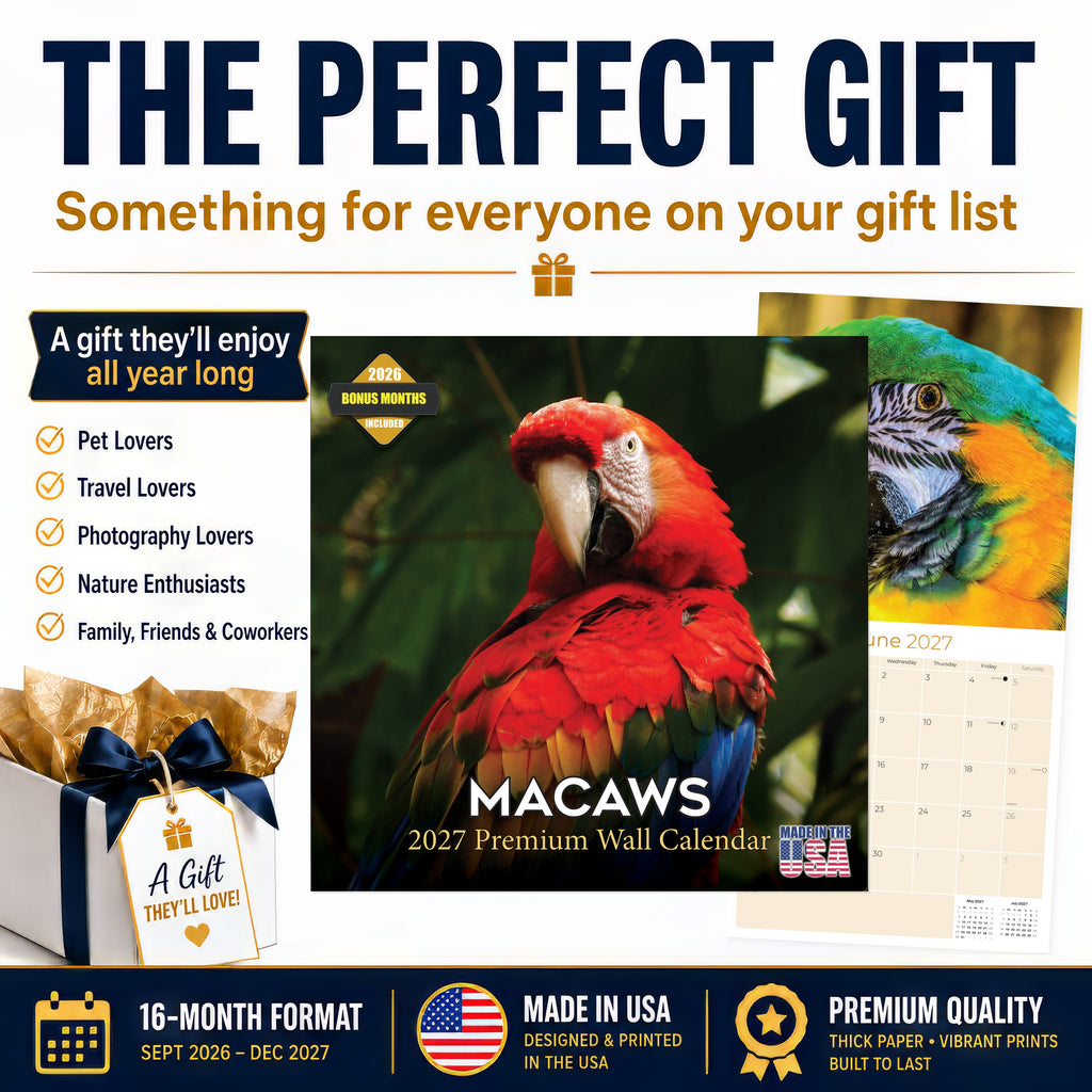 Macaws Wall Calendar 2027 - 12" x 12" Monthly Bird Breed Calendar