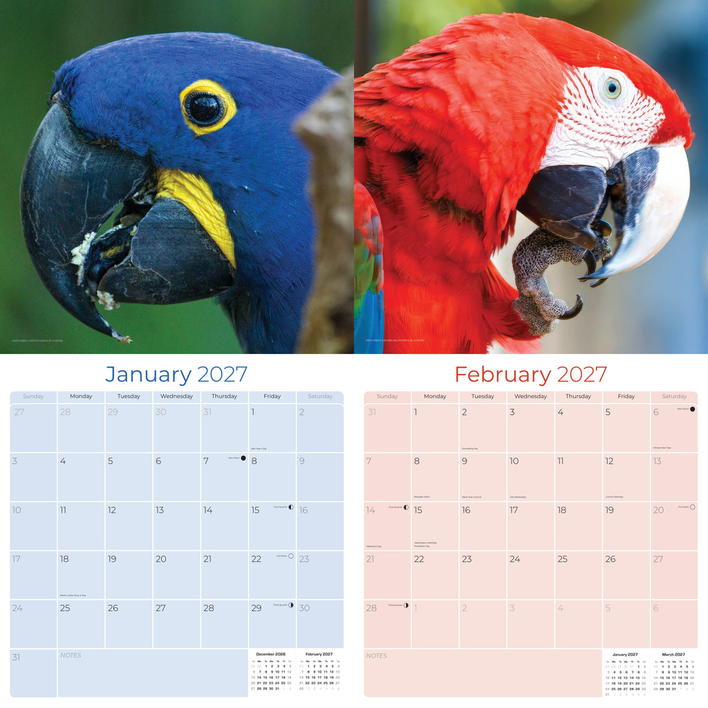 Macaws Wall Calendar 2027 - 12" x 12" Monthly Bird Breed Calendar