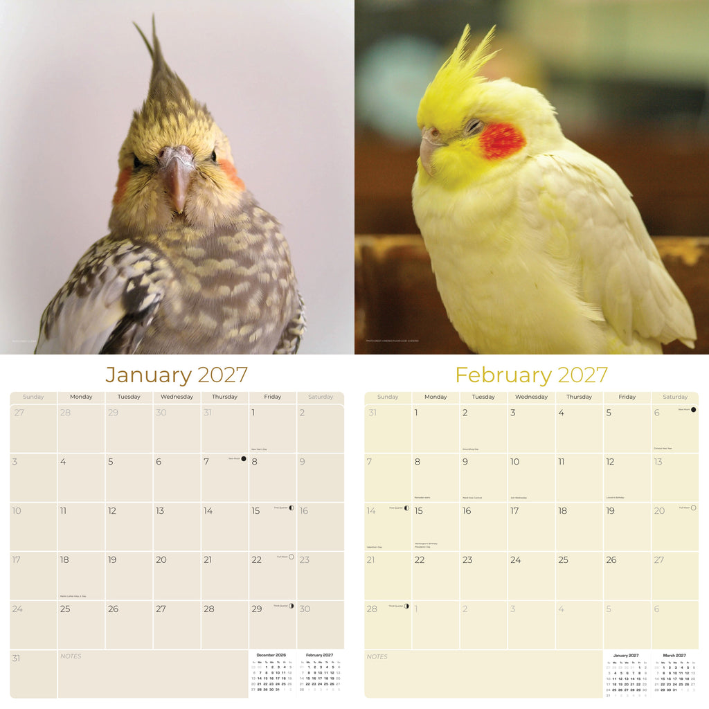 Cockatiels Wall Calendar 2027 - 12" x 12" Monthly Bird Breed Calendar