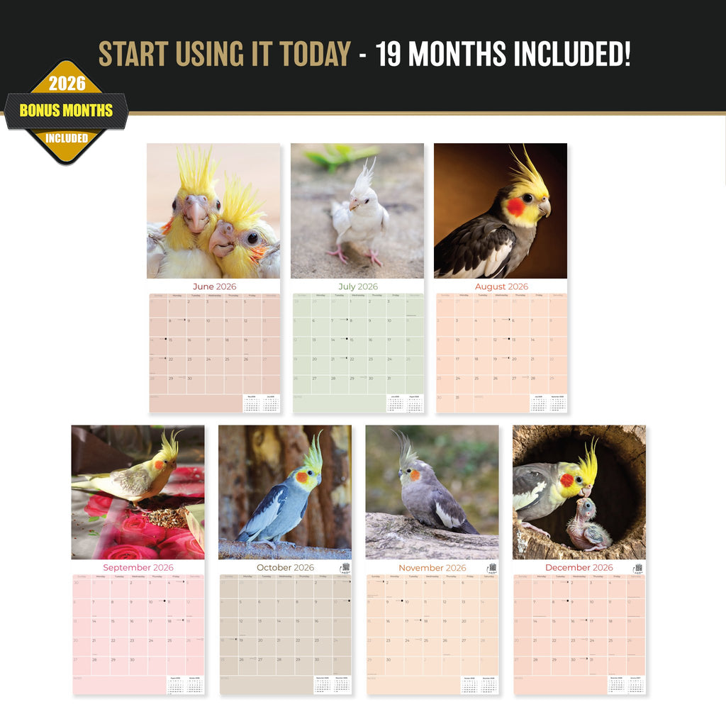 Cockatiels Wall Calendar 2027 - 12" x 12" Monthly Bird Breed Calendar