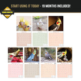 Cockatiels Wall Calendar 2027 - 12" x 12" Monthly Bird Breed Calendar