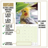 Cockatiels Wall Calendar 2027 - 12" x 12" Monthly Bird Breed Calendar