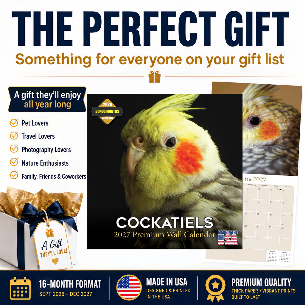 Cockatiels Wall Calendar 2027 - 12" x 12" Monthly Bird Breed Calendar