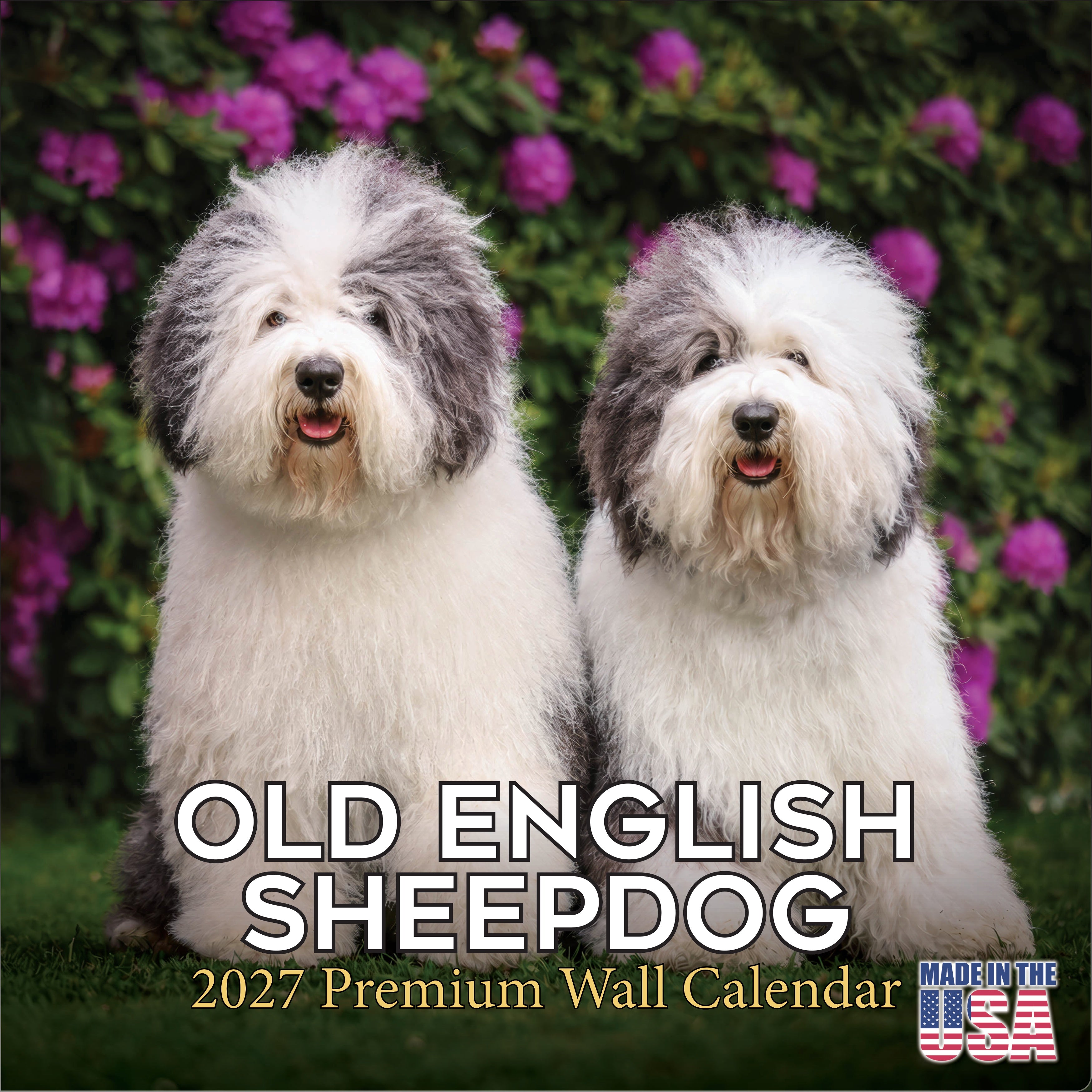 Old English Sheepdog Wall Calendar 2027 - 12