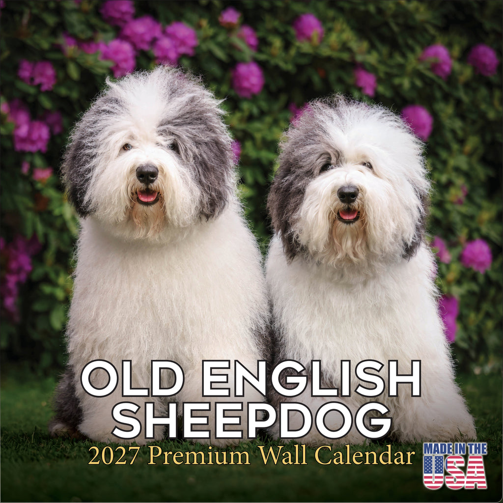 Old English Sheepdog Wall Calendar 2027 - 12" x 12" Monthly Playful Shaggy & Fluffy Bear-Like Herding Dog Calendar