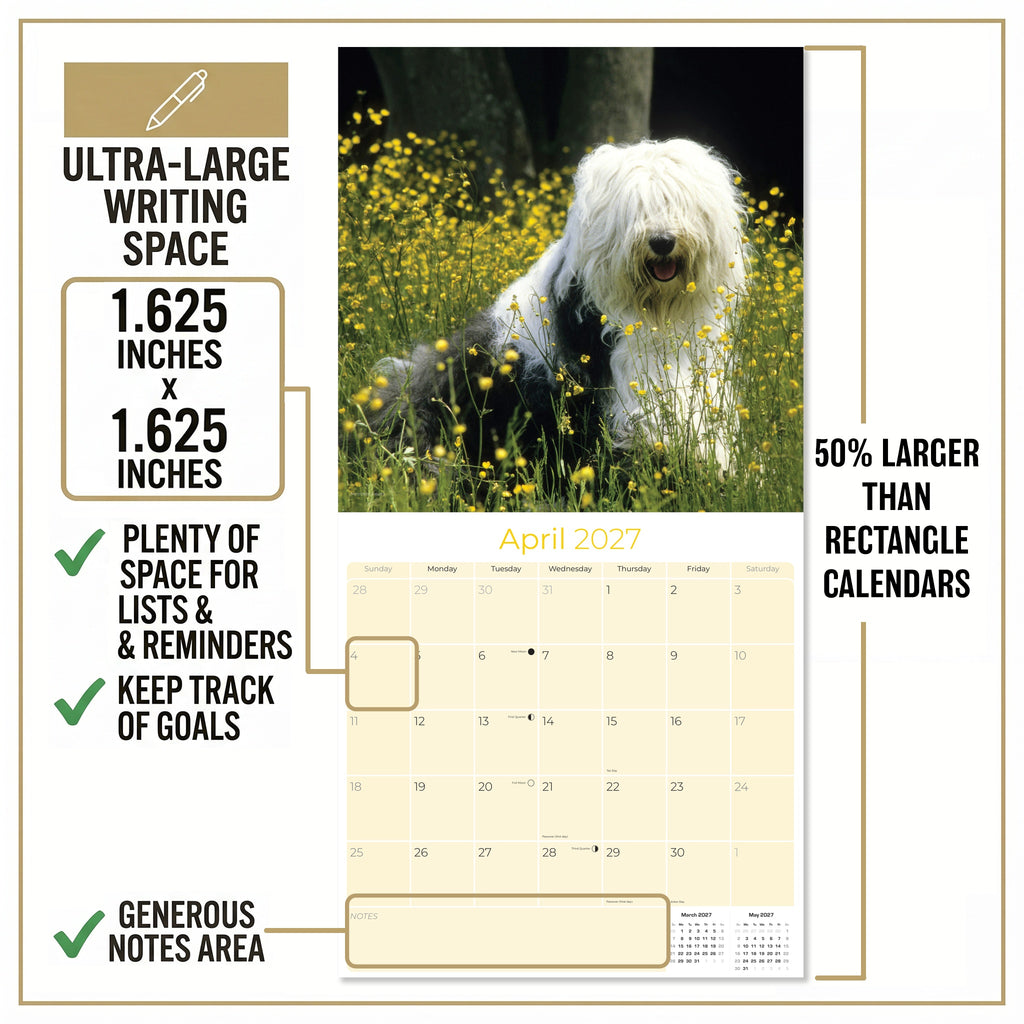 Old English Sheepdog Wall Calendar 2027 - 12" x 12" Monthly Playful Shaggy & Fluffy Bear-Like Herding Dog Calendar