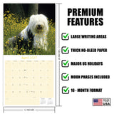 Old English Sheepdog Wall Calendar 2027 - 12" x 12" Monthly Playful Shaggy & Fluffy Bear-Like Herding Dog Calendar