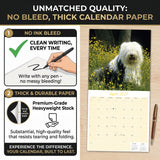 Old English Sheepdog Wall Calendar 2027 - 12" x 12" Monthly Playful Shaggy & Fluffy Bear-Like Herding Dog Calendar