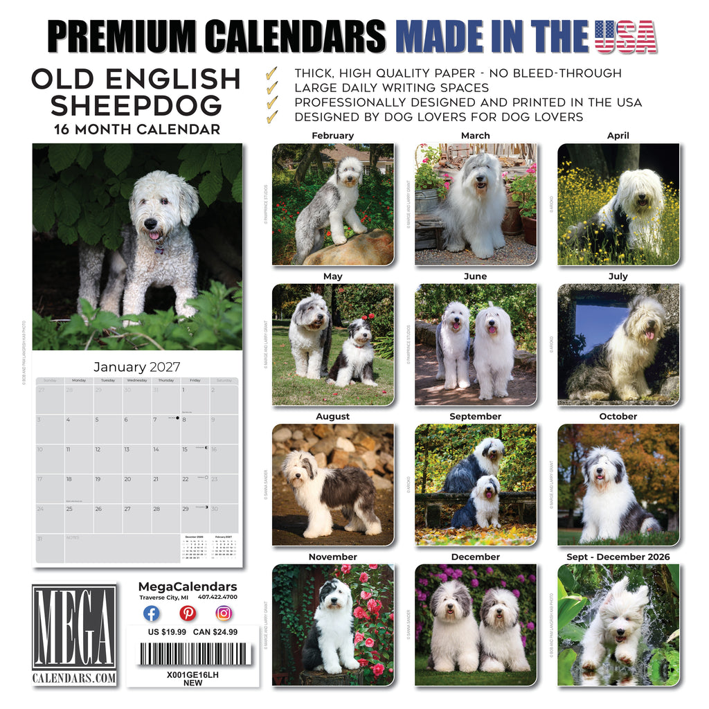 Old English Sheepdog Wall Calendar 2027 - 12" x 12" Monthly Playful Shaggy & Fluffy Bear-Like Herding Dog Calendar