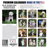 Old English Sheepdog Wall Calendar 2027 - 12" x 12" Monthly Playful Shaggy & Fluffy Bear-Like Herding Dog Calendar