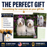 Old English Sheepdog Wall Calendar 2027 - 12" x 12" Monthly Playful Shaggy & Fluffy Bear-Like Herding Dog Calendar