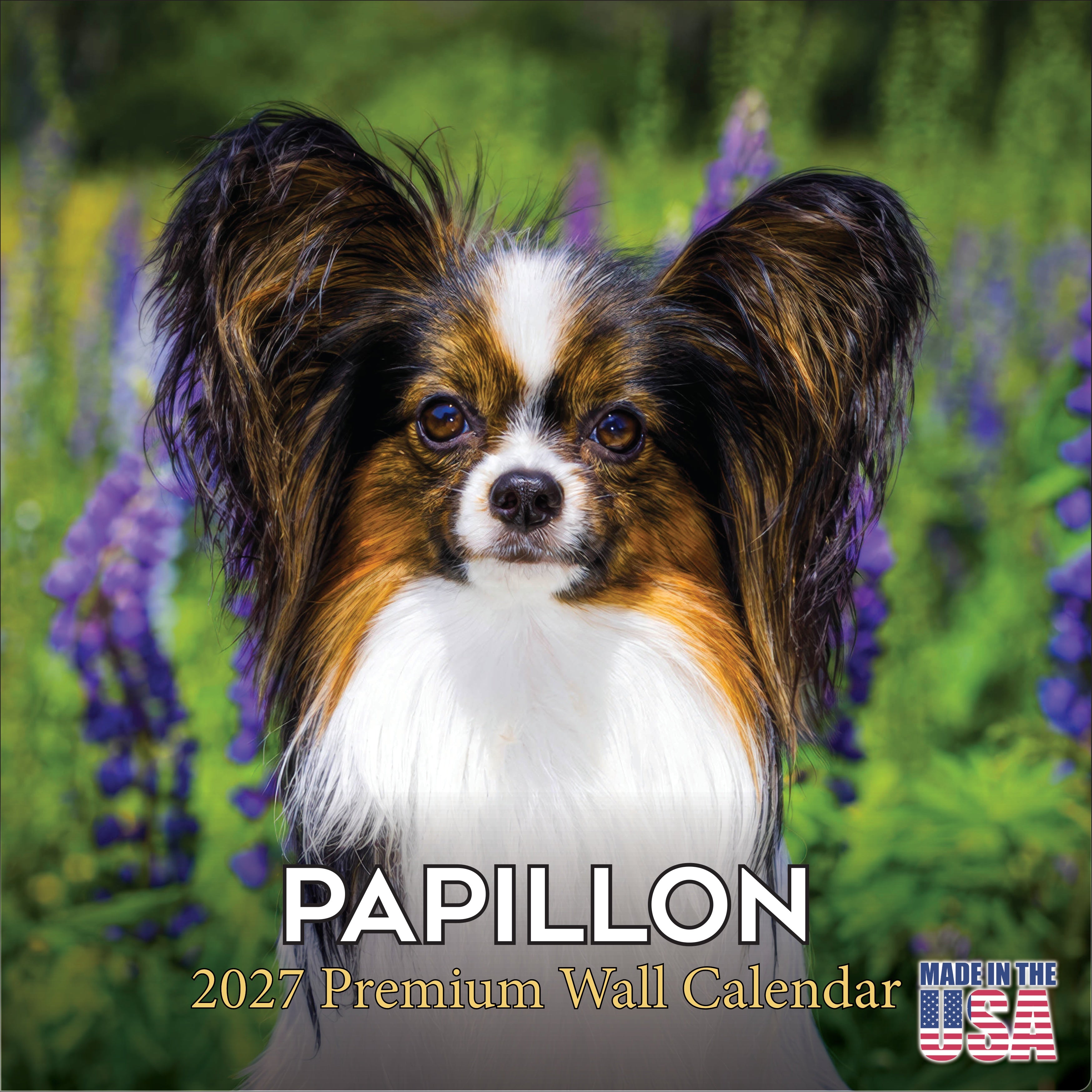 Papillon Wall Calendar 2027 - 12