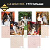 Papillon Wall Calendar 2027 - 12" x 12" Monthly Intelligent Butterfly Ear & Graceful Toy Spaniel Calendar
