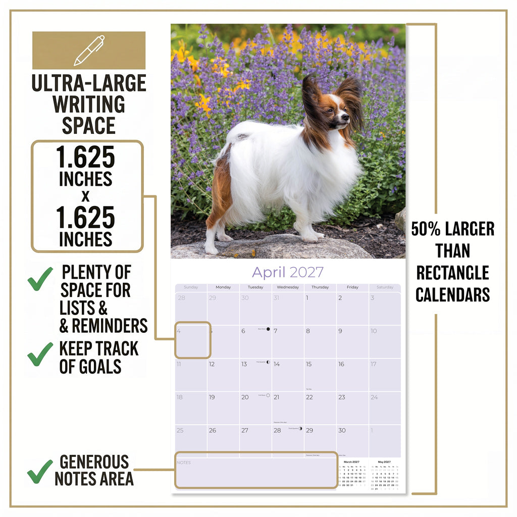 Papillon Wall Calendar 2027 - 12" x 12" Monthly Intelligent Butterfly Ear & Graceful Toy Spaniel Calendar