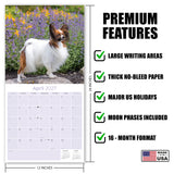 Papillon Wall Calendar 2027 - 12" x 12" Monthly Intelligent Butterfly Ear & Graceful Toy Spaniel Calendar