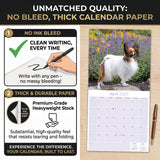 Papillon Wall Calendar 2027 - 12" x 12" Monthly Intelligent Butterfly Ear & Graceful Toy Spaniel Calendar