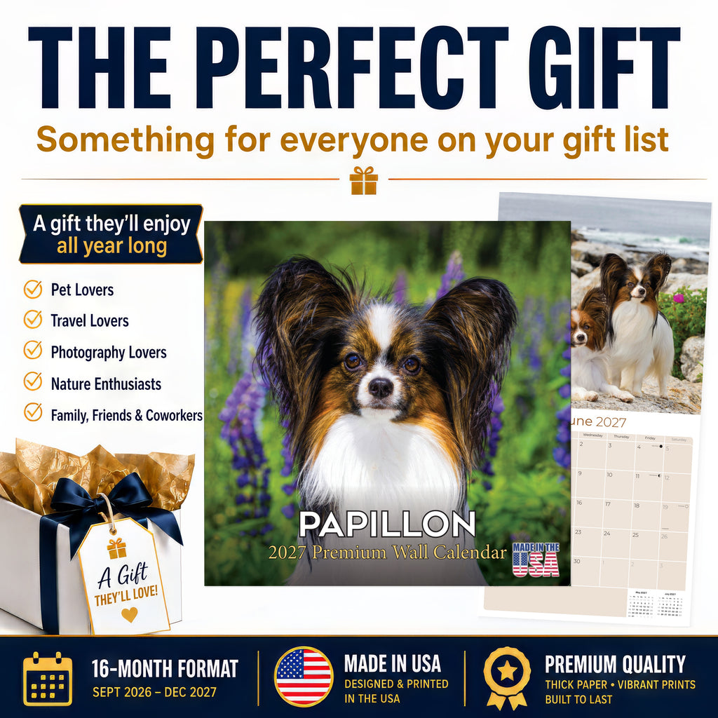 Papillon Wall Calendar 2027 - 12" x 12" Monthly Intelligent Butterfly Ear & Graceful Toy Spaniel Calendar
