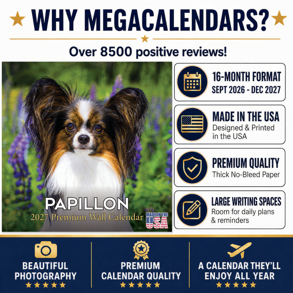 Papillon Wall Calendar 2027 - 12" x 12" Monthly Intelligent Butterfly Ear & Graceful Toy Spaniel Calendar