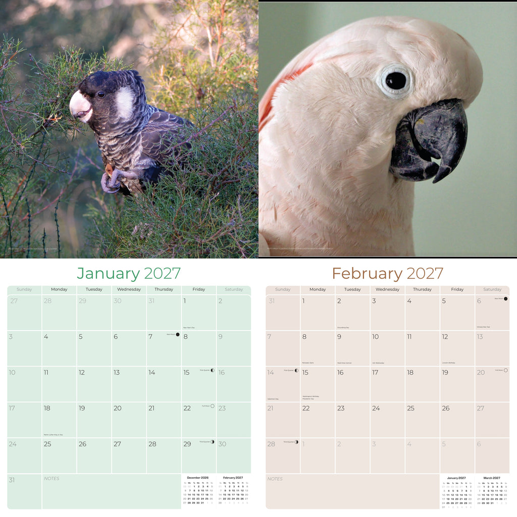 Cockatoos Wall Calendar 2027 - 12" x 12" Monthly Bird Breed Calendar
