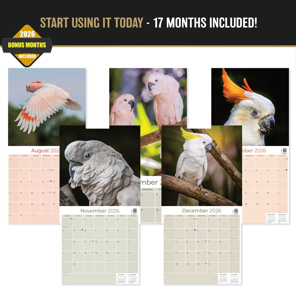 Cockatoos Wall Calendar 2027 - 12" x 12" Monthly Bird Breed Calendar