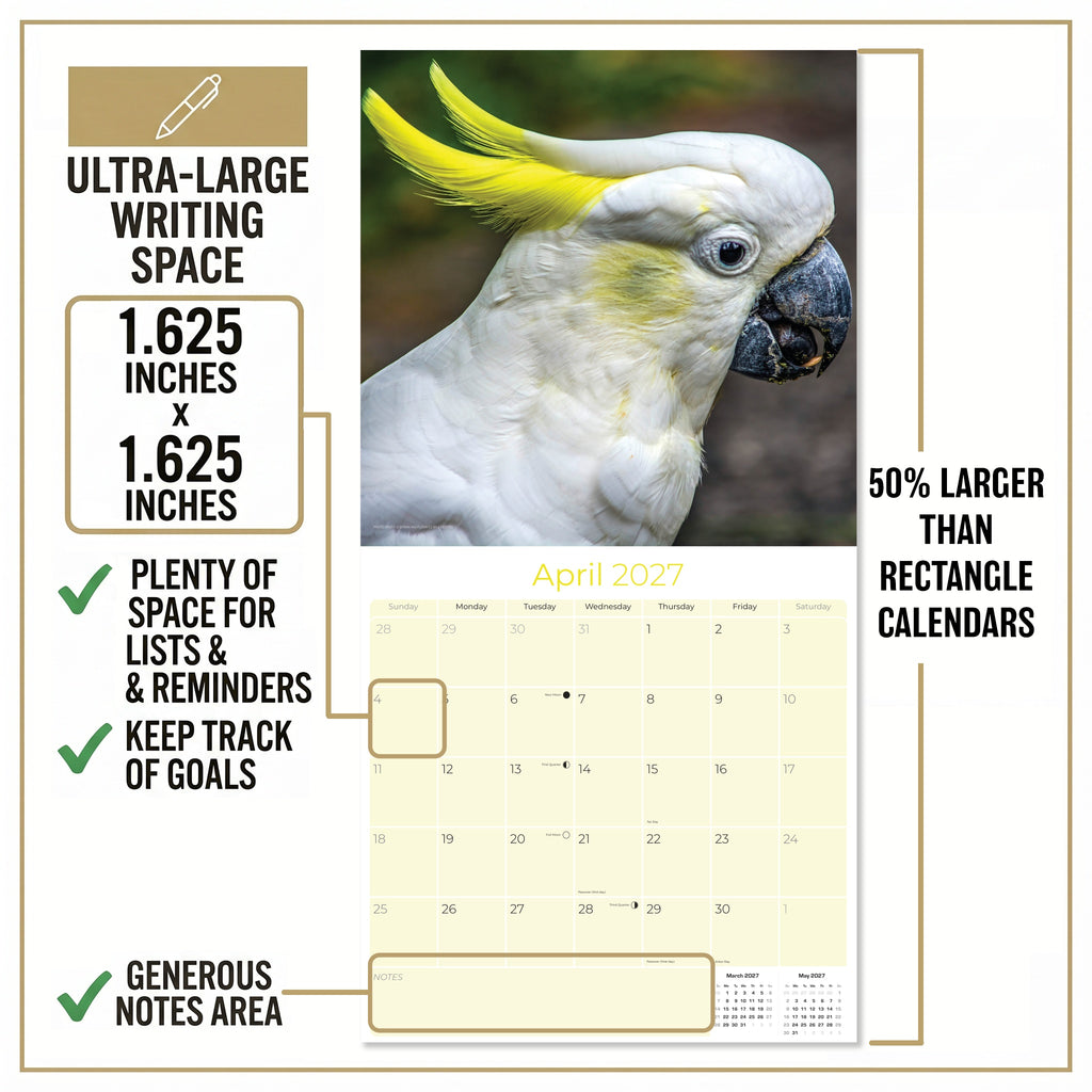 Cockatoos Wall Calendar 2027 - 12" x 12" Monthly Bird Breed Calendar