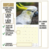 Cockatoos Wall Calendar 2027 - 12" x 12" Monthly Bird Breed Calendar